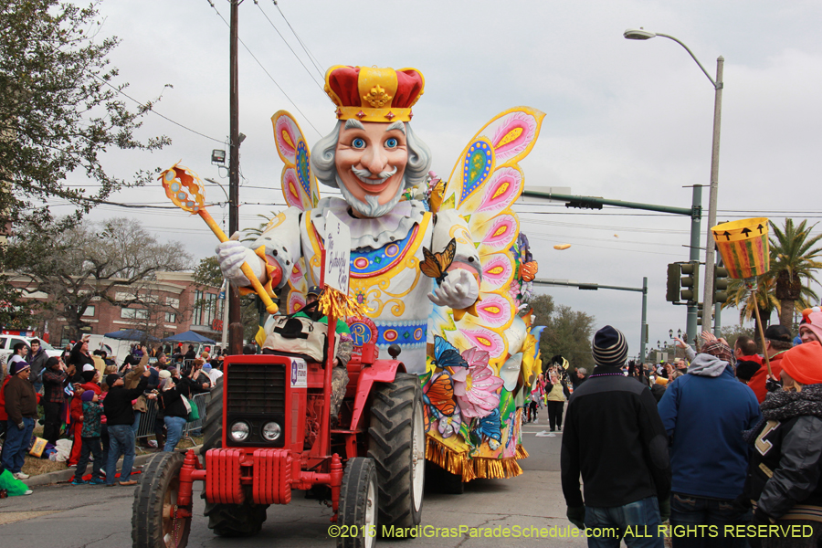 Rex-Organization-2015-19348