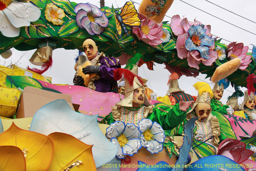 Rex-Organization-2015-19349