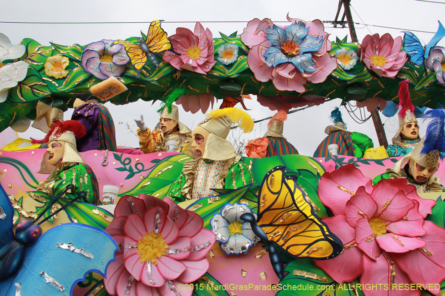 Rex-Organization-2015-19350