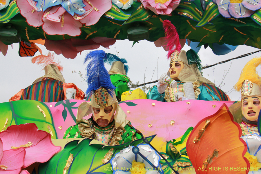 Rex-Organization-2015-19351