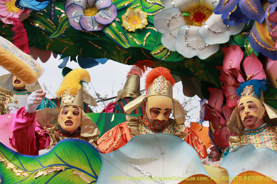 Rex-Organization-2015-19352