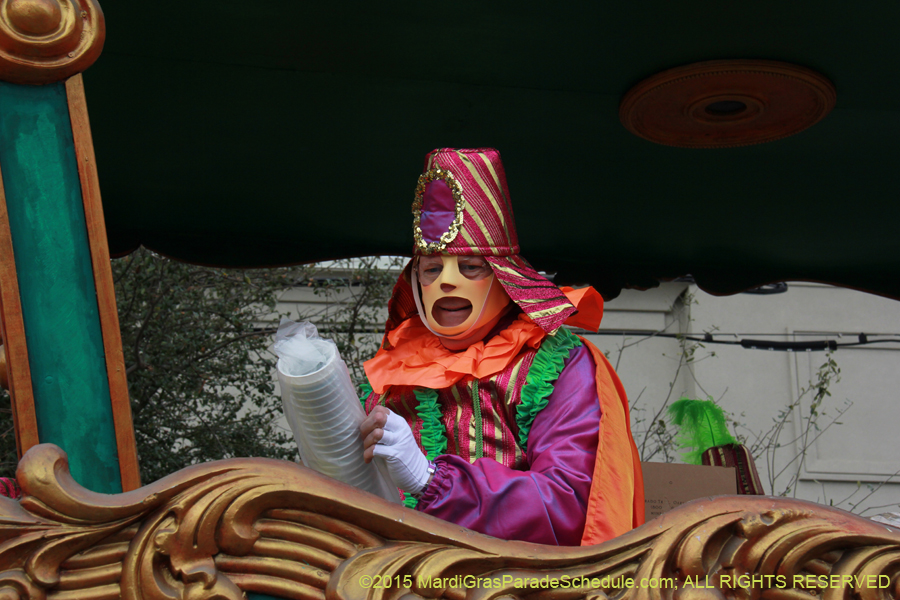 Rex-Organization-2015-19361