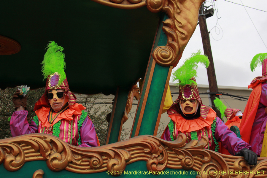 Rex-Organization-2015-19362