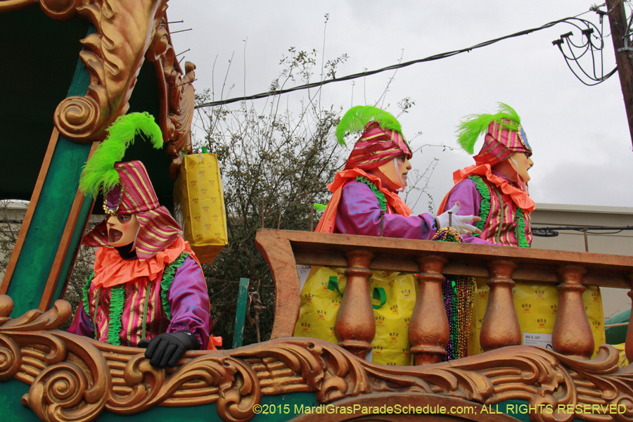 Rex-Organization-2015-19363