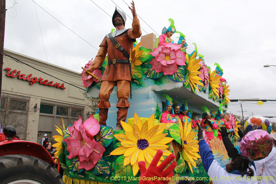 Rex-Organization-2015-19367