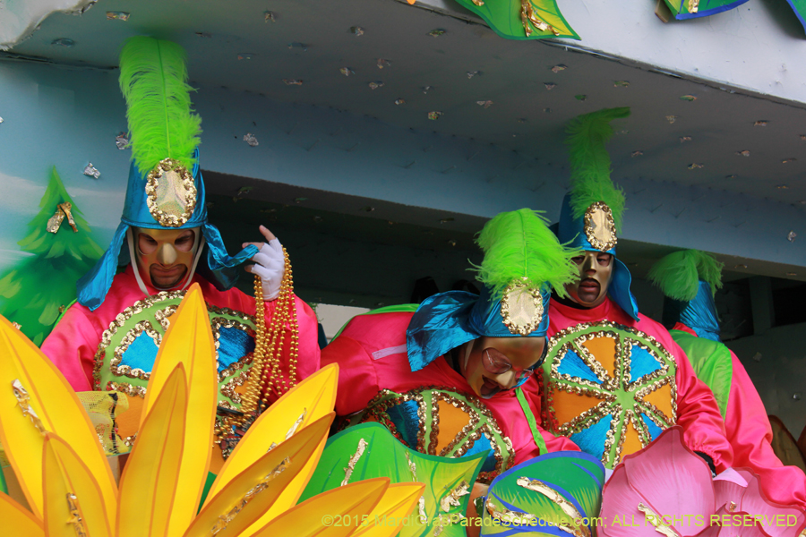 Rex-Organization-2015-19368