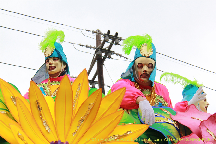 Rex-Organization-2015-19369