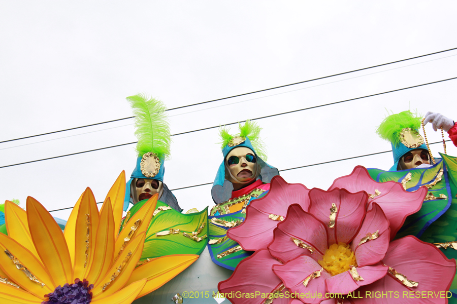 Rex-Organization-2015-19371