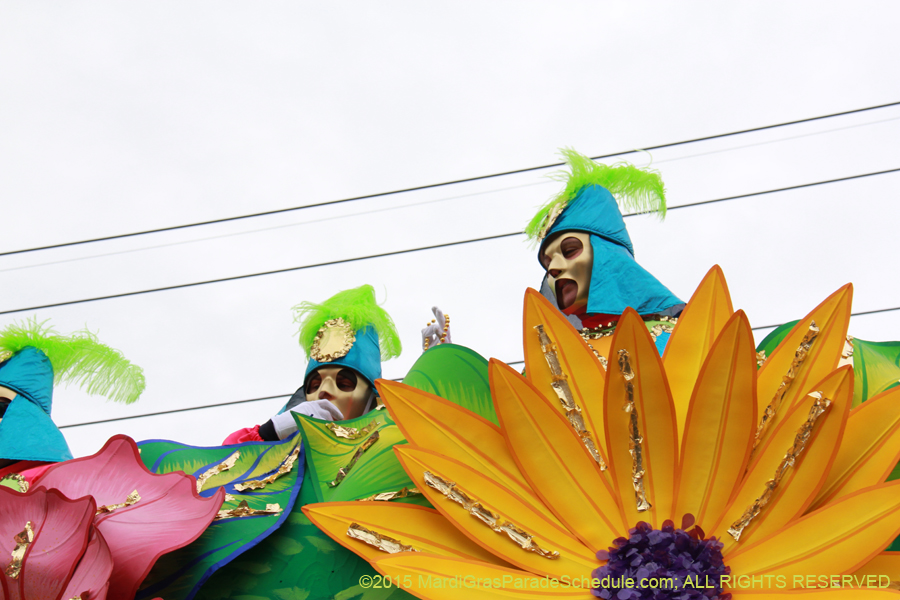 Rex-Organization-2015-19372