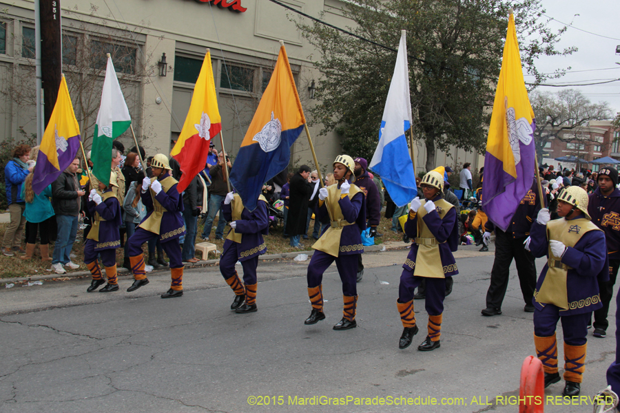 Rex-Organization-2015-19375