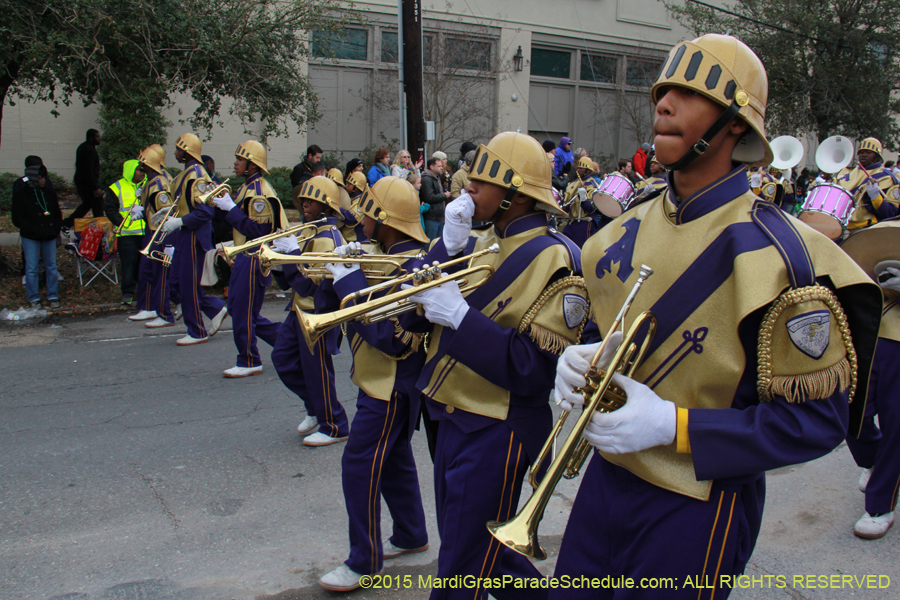 Rex-Organization-2015-19376