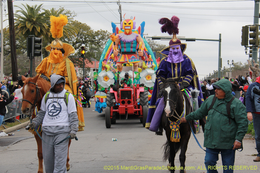 Rex-Organization-2015-19378