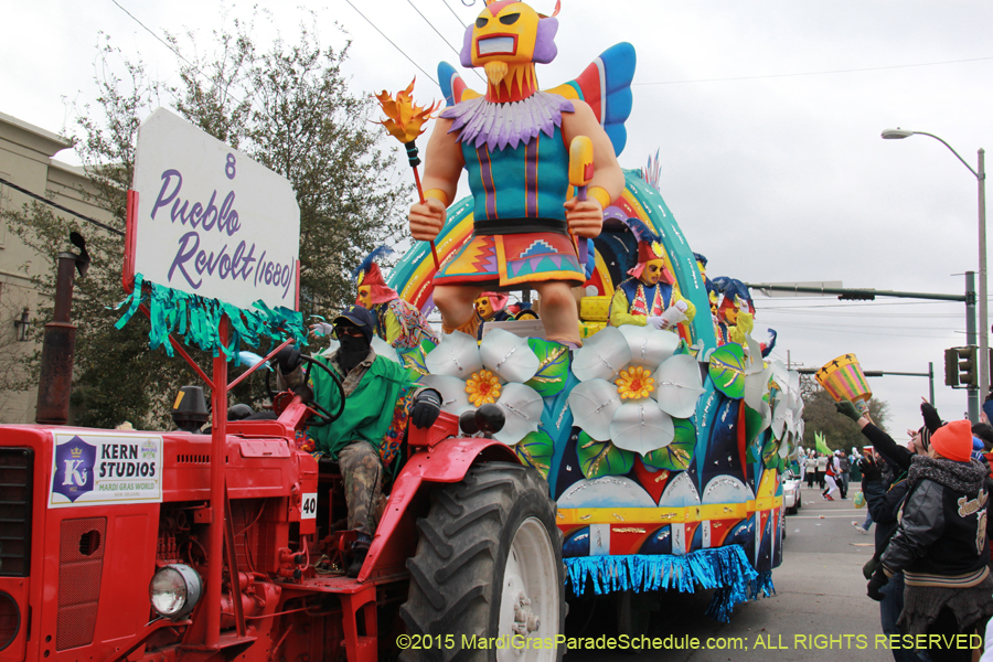 Rex-Organization-2015-19379