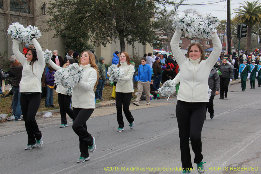 Rex-Organization-2015-19384