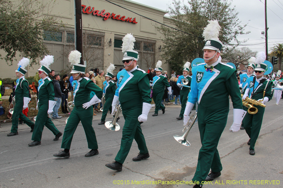 Rex-Organization-2015-19386