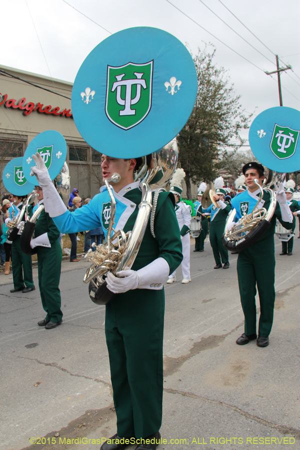 Rex-Organization-2015-19387