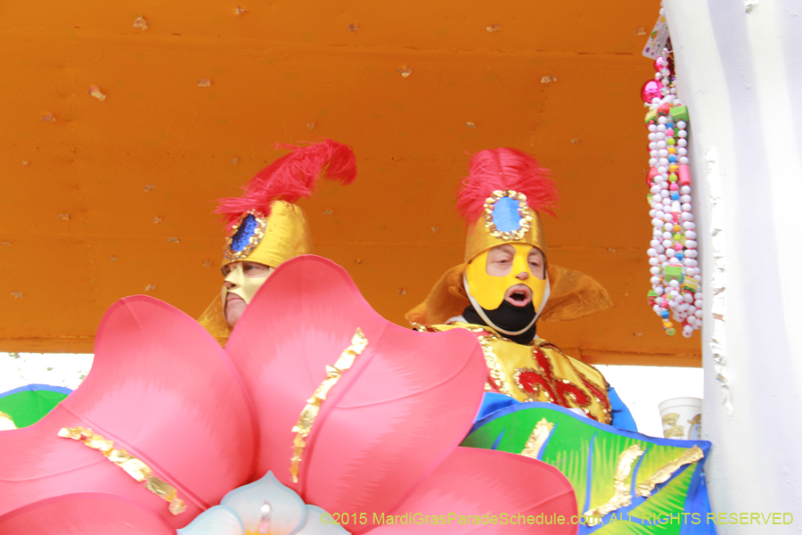 Rex-Organization-2015-19391