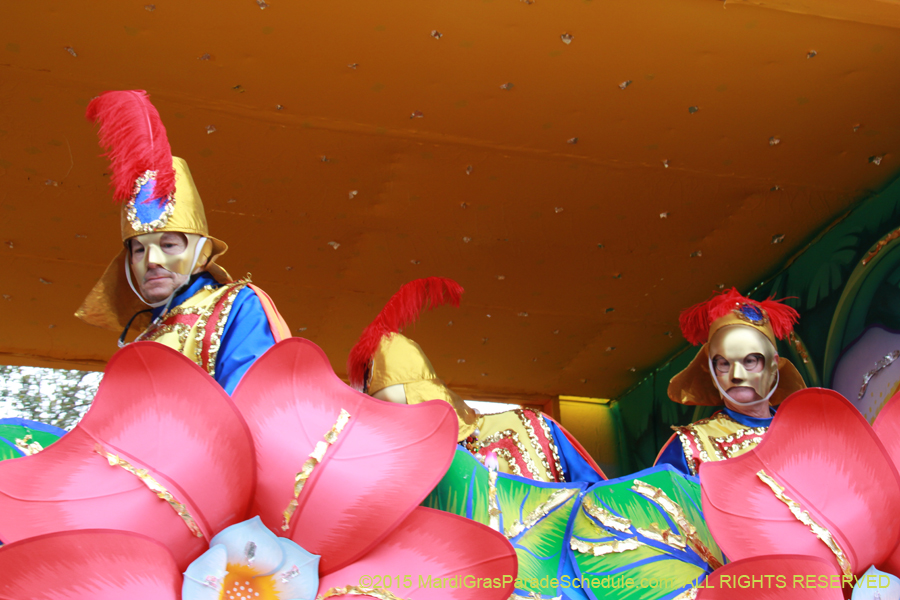 Rex-Organization-2015-19392