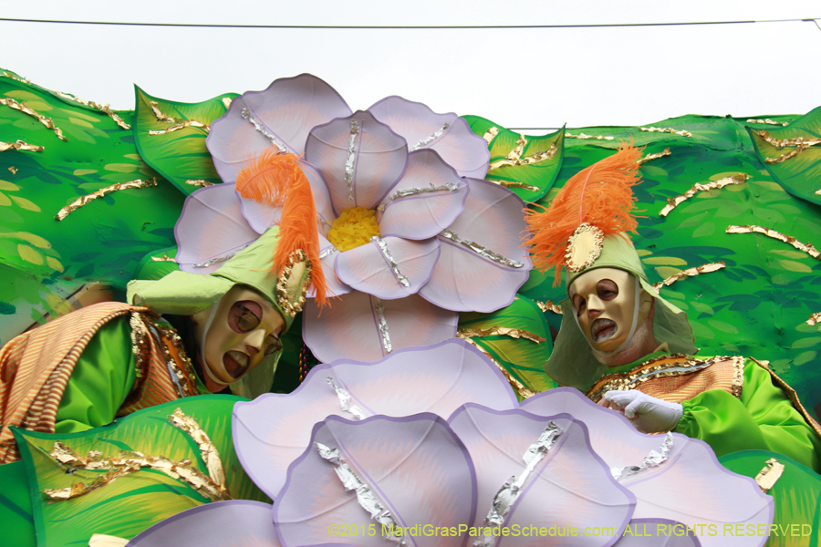 Rex-Organization-2015-19400