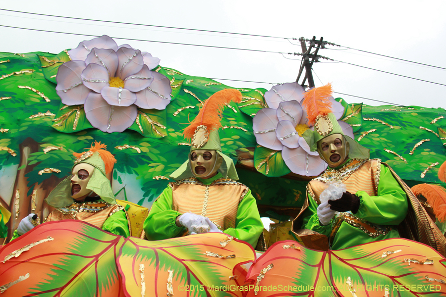 Rex-Organization-2015-19401