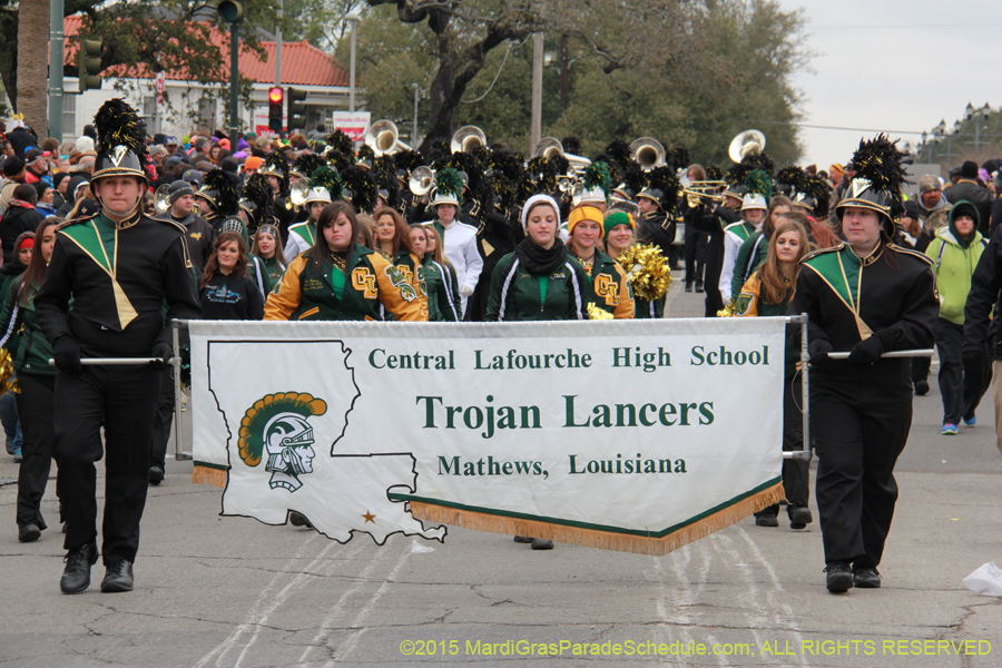 Rex-Organization-2015-19403