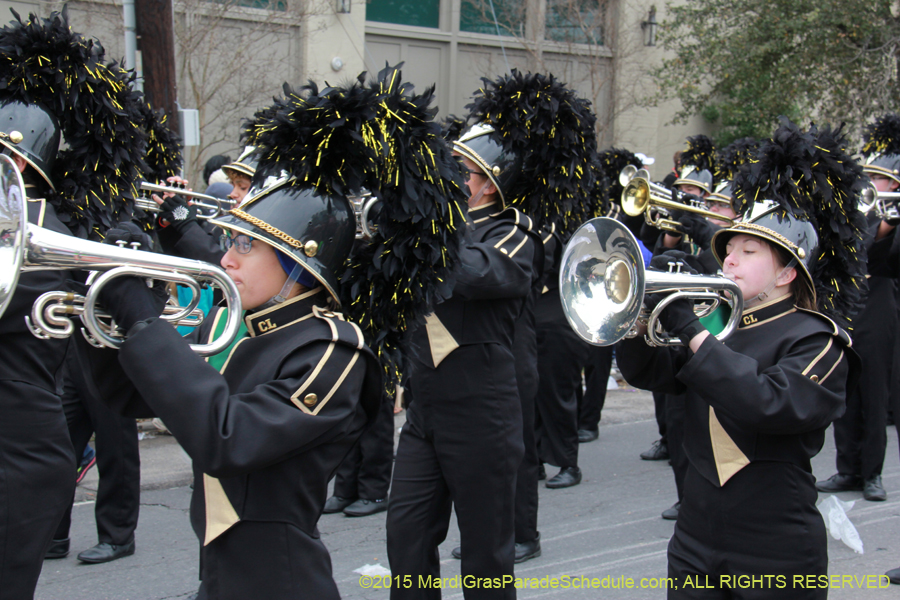 Rex-Organization-2015-19404