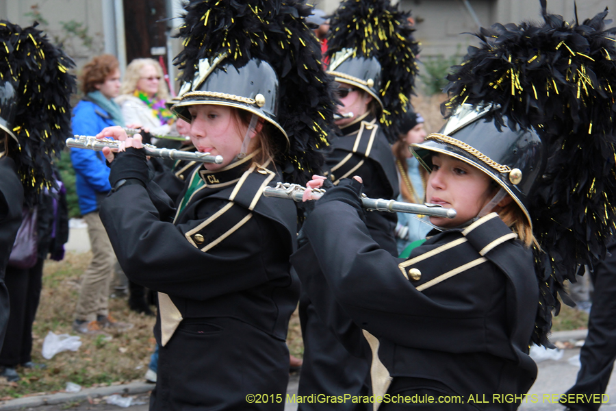 Rex-Organization-2015-19406