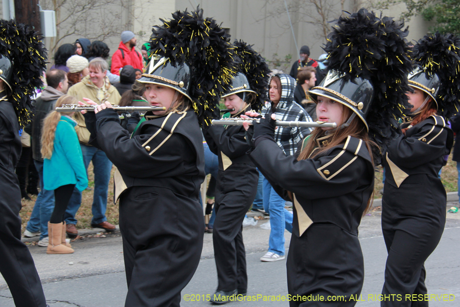 Rex-Organization-2015-19407