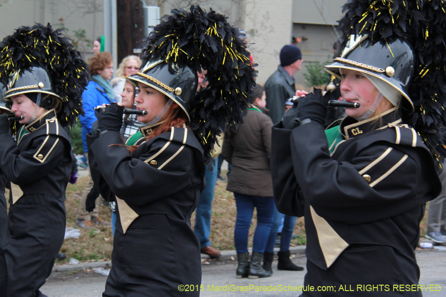 Rex-Organization-2015-19408