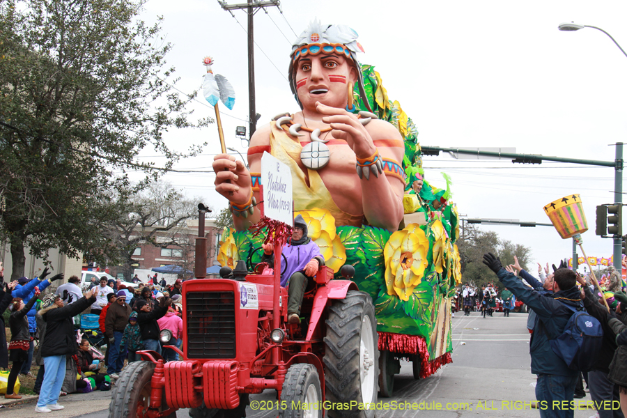 Rex-Organization-2015-19409