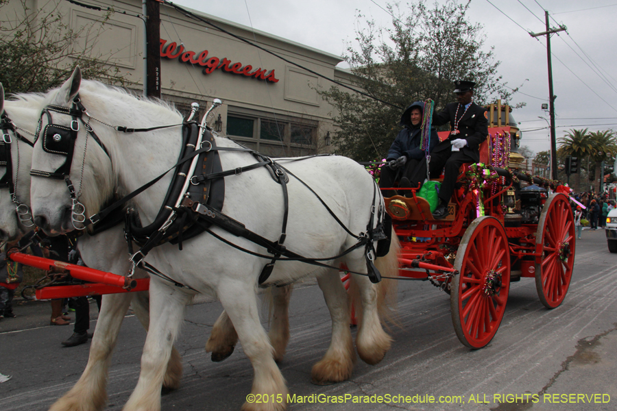 Rex-Organization-2015-19448