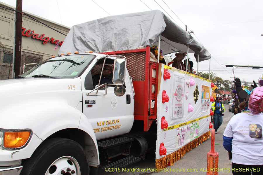 Rex-Organization-2015-19450