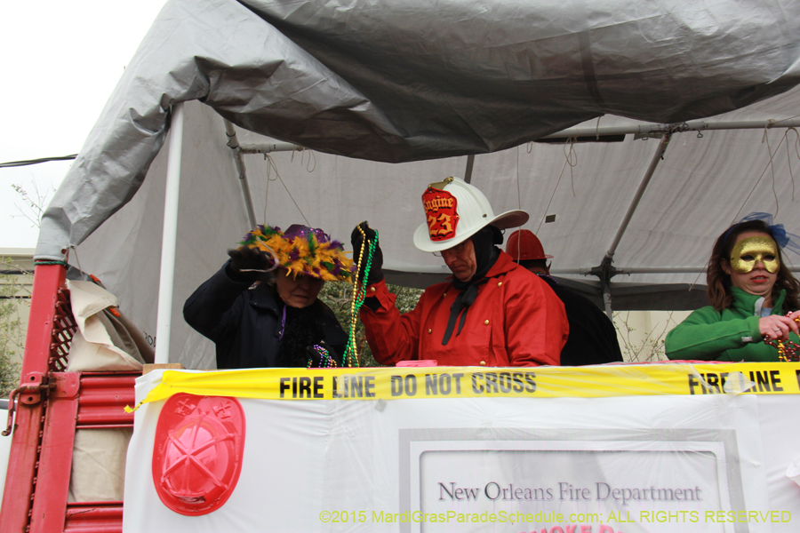 Rex-Organization-2015-19451