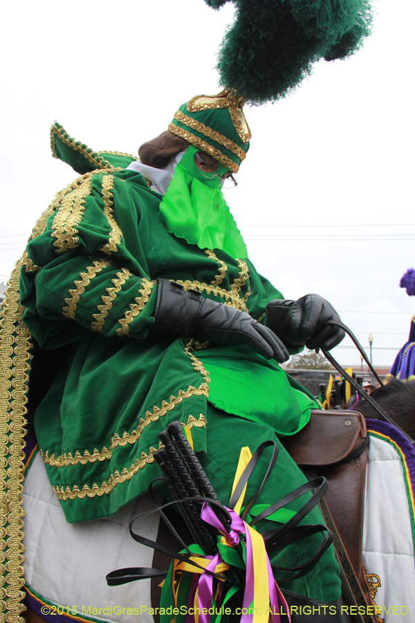 Rex-Organization-2015-19454