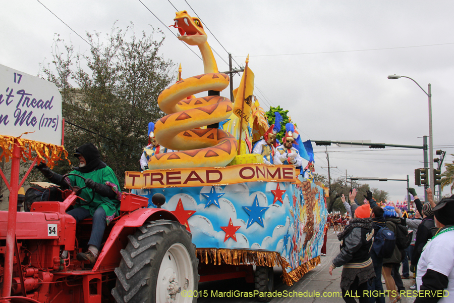 Rex-Organization-2015-19455