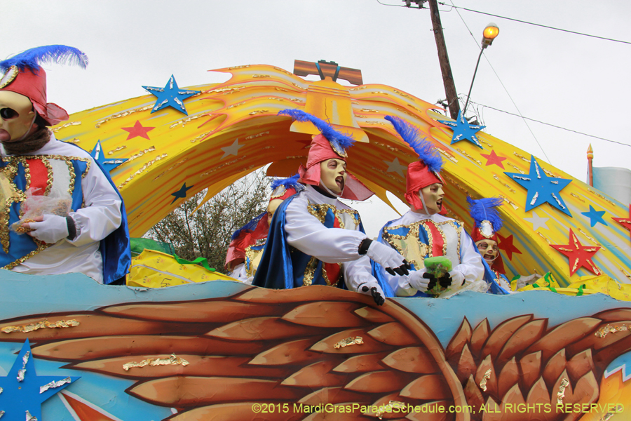 Rex-Organization-2015-19457