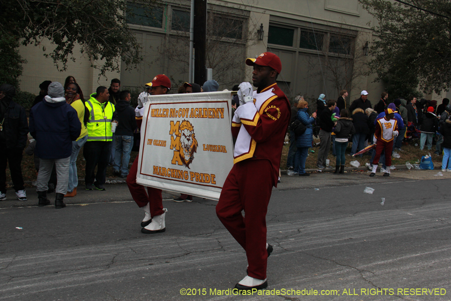 Rex-Organization-2015-19459