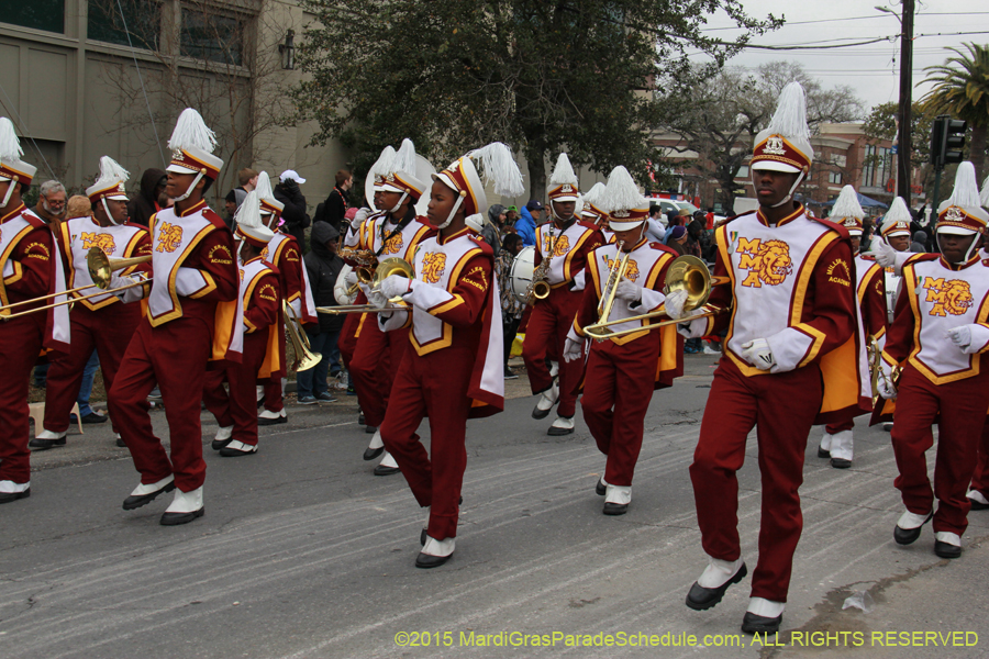 Rex-Organization-2015-19460