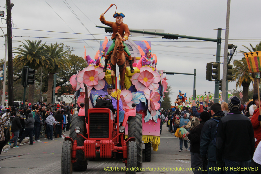 Rex-Organization-2015-19462