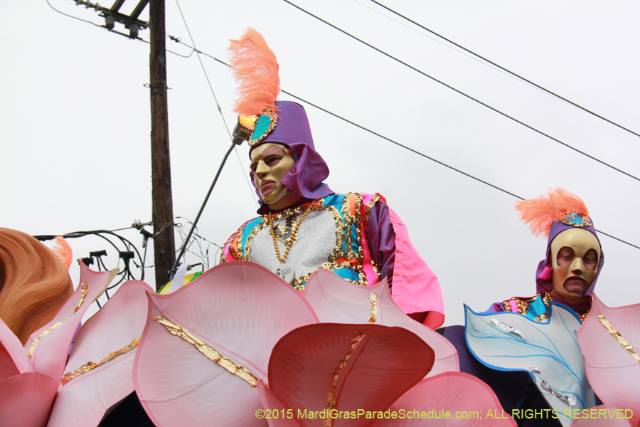 Rex-Organization-2015-19463