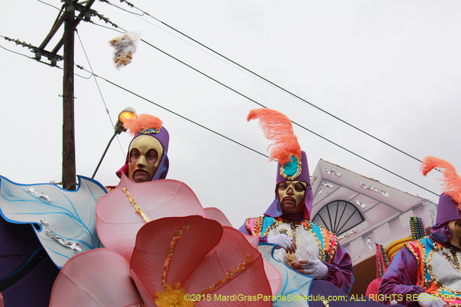 Rex-Organization-2015-19464