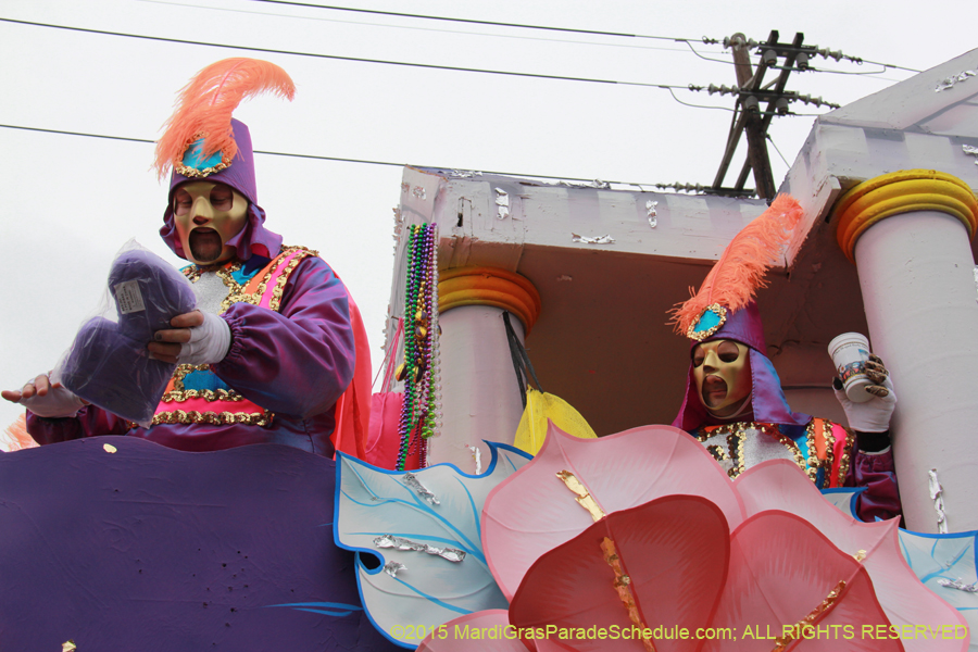 Rex-Organization-2015-19465