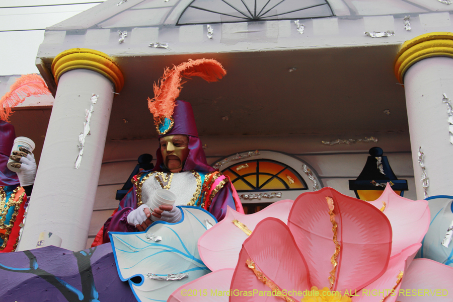 Rex-Organization-2015-19466