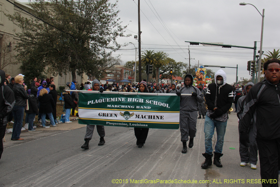 Rex-Organization-2015-19467