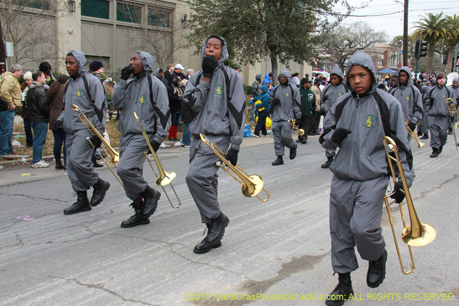 Rex-Organization-2015-19468