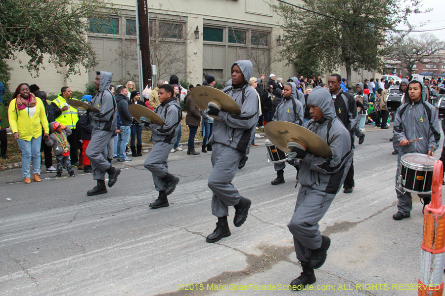 Rex-Organization-2015-19469