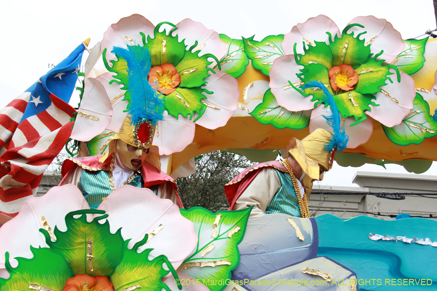 Rex-Organization-2015-19472