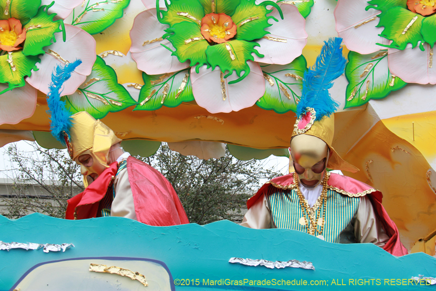 Rex-Organization-2015-19473