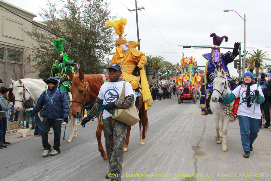 Rex-Organization-2015-19477