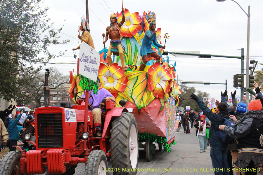 Rex-Organization-2015-19478